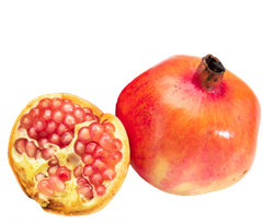 FR- Trái Lựu - Fresh Pomegranates