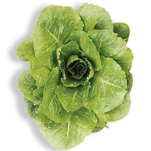 VE- Romaine Lettuce ( 1KG / PACK 150G )