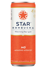 TE- Amazing Apricot Kombucha Star 250ml T2