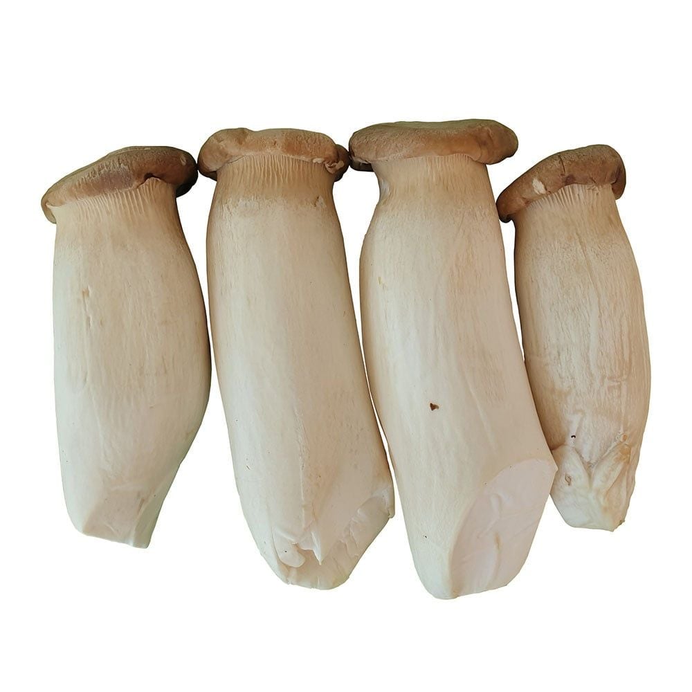 VE- Nấm đùi gà - Fresh King Oyster Mushroom ( kg )