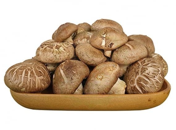 VE.M- Nấm mỡ nâu - Brown Mushroom Japan