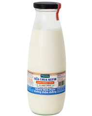 DY- Kefir Yogurt Daissy 480g T6