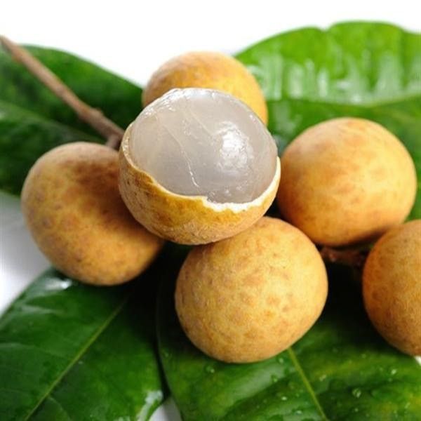 FR.L- Nhãn - Longan ( kg ) - Nha Trang