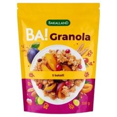 GR.G- 5 Dried Fruits & Almonds Bakalii Ba! Granola Bakalland 300g T6