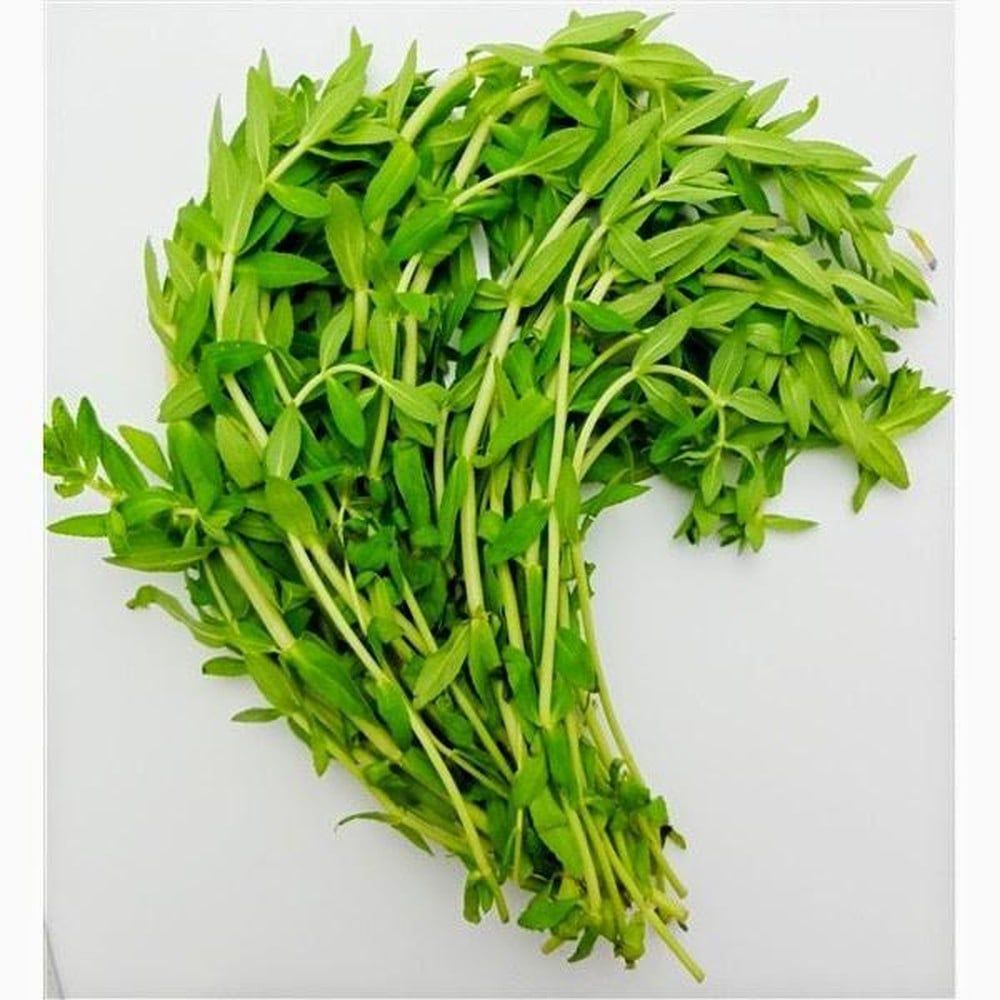 VE.H- Rau ngỗ - Rice Paddy Herb ( kg )