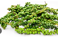 VE.H- Fresh Green Pepper (Tiêu xanh) -NT