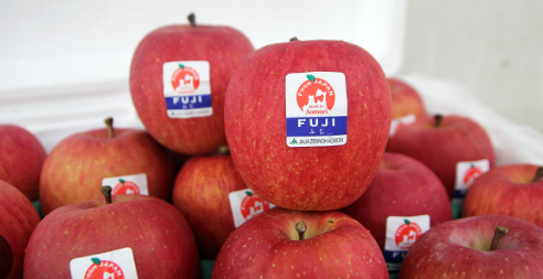 FR.I- Fuji Apple PNF ( Táo Fuji Nơ) T11