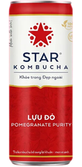 TE- Pomegranate Purity Kombucha Star 250ml
