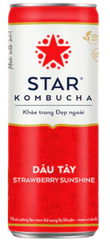 TE- Strawberry Sunshine Kombucha Star 250ml T2