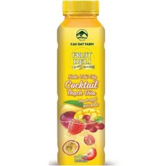 BW.J- Dried Persimmon Juice Fruit Deli 500ml