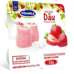 DY-Strawberry Yogurt Vinamilk 100g T5