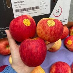 FR.I- Ambrosia Apple New Zealand (Táo Ambrosia New Zealand) -NT