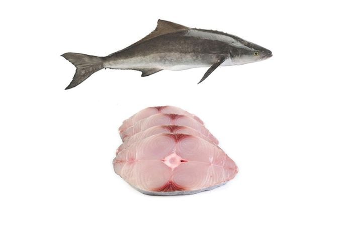 ME.F- Cobia Fish (Cá Bớp làm sạch)