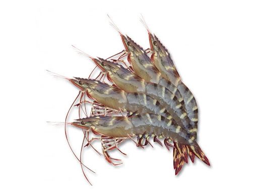 ME.F- Organic Black Tiger ShrimSIZE 16/20 GolbalFoods 500g