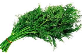 VE.H- Lá Thì Là Tươi - Fresh Dill - NT ( 1Kg / 1 pack 150g )