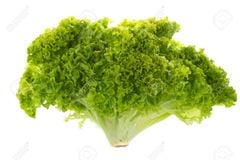 VE- Hydroponic Bata Salad ( 1KG / PACK 150G )