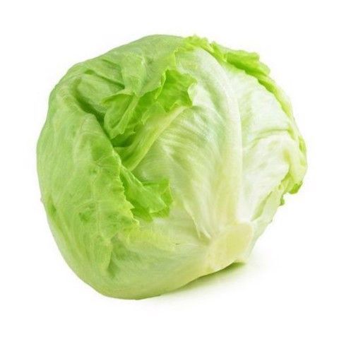 VE- Xà lách búp mỹ - Iceberg Lettuce ( kg )