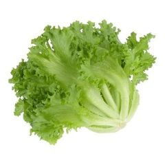 VE- Xà lách thủy tinh - Hydroponic Frillice Iceberg Lettuce