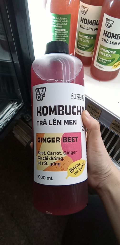 T-Gingerbeet Tea Kombucha 1L (bottle)