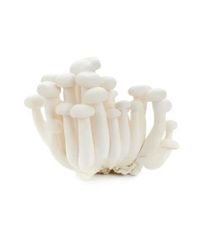 VE.M- White Lingzhi Mushroom (Nấm linh chi trắng) 150g