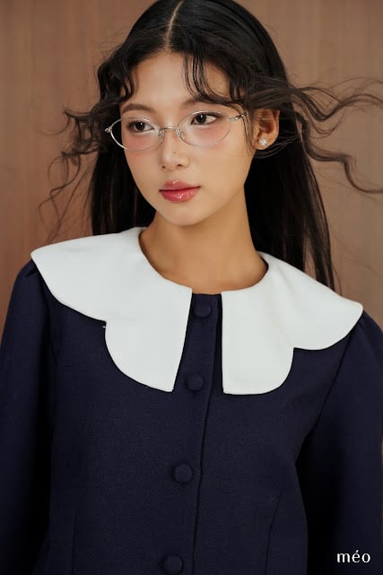 Áo Kiểu Envy
