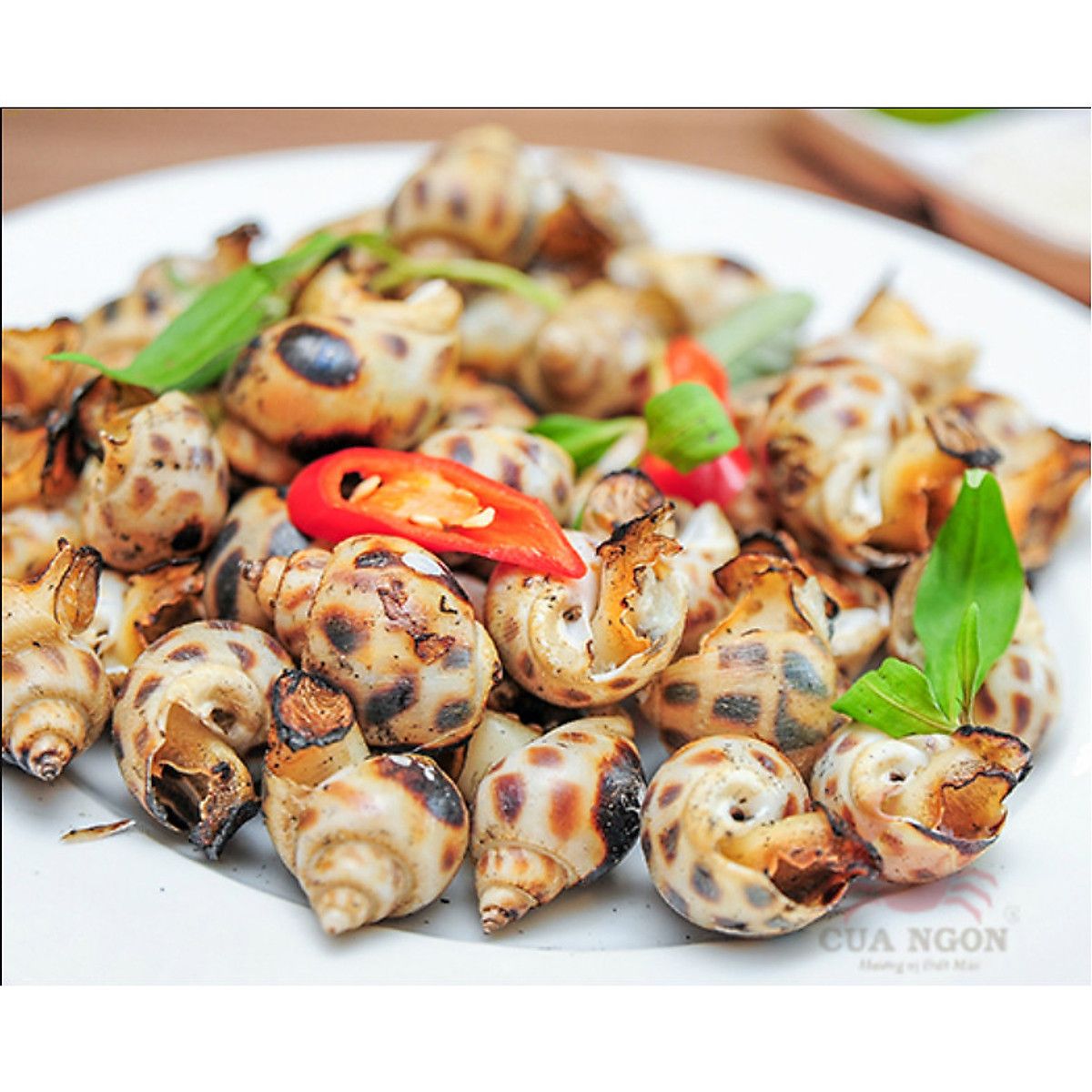 Ốc hương biển  Hải Sản Tươi Sống Gò Vấp  Hải sản giao tận nhà tphcm