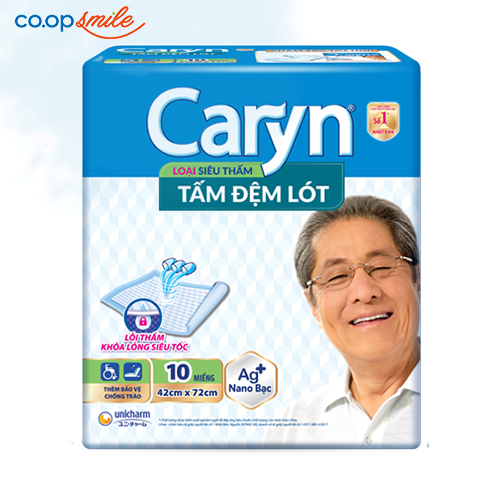 Tấm lót người già CARYN L10