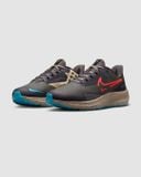  Giày Chạy Nam NIKE Air Zoom Pegasus 39 Shield DO7625-200 