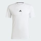  Áo Phông - Áo thun Tập Luyện Nam ADIDAS Wo Logo Tee IT2125 