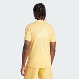  Áo Phông - Áo thun Tập Luyện Nam ADIDAS Wo Logo Tee IT2127 