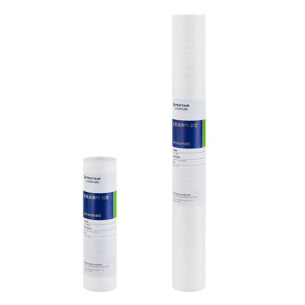 AC Lõi Lọc Sau Microguard 10" | PENTAIR EVERPURE