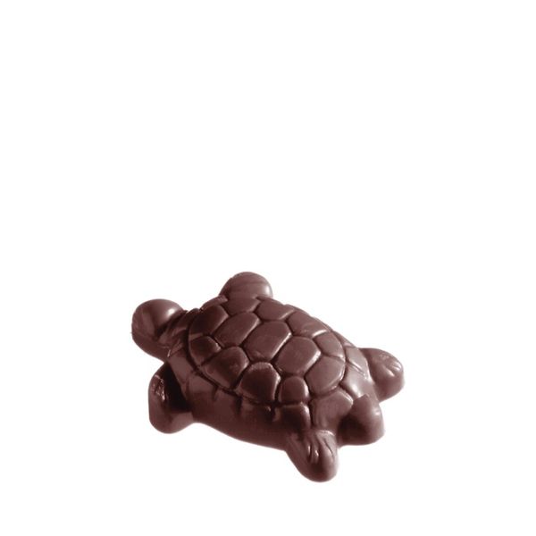Chocolate Mould Turtle CW1411