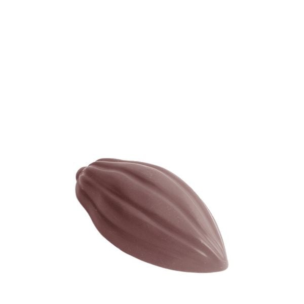 Chocolate Mould Cacao Bean CW1558