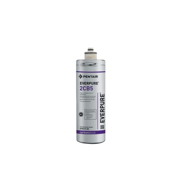 AC Filter Cartridge 2CB5 (Replacement) | PENTAIR EVERPURE