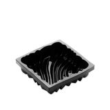 Pavocake Squeeze KE065