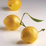 Pavoni - Pavoduo Citron  | Khuôn silicon