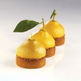 Pavoni - Pavoflex Citron Tart  | Khuôn silicon