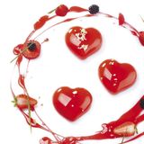 Pavoflex Passion 400x300 mm
