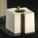 Pavoni - TEKNO | Khuôn silicon