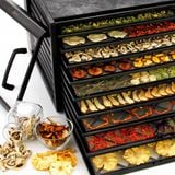 Máy sấy thực phẩm hẹn giờ kỹ thuật số 9 khay (35-74°C) | EXCALIBUR