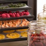 Máy sấy thực phẩm hẹn giờ kỹ thuật số 5 khay (35-74°C) | EXCALIBUR