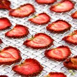 10-Tray Dehydrator With Digital Control S/S (35-74°C) | EXCALIBUR