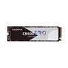 Ổ cứng SSD COLORFUL CN600 PRO 256GB M.2 NVMe Gen 3