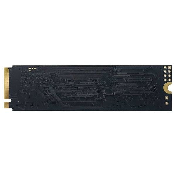 Ổ cứng SSD PATRIOT P300 256GB M.2 NVMe Gen 3 ( P300P256GM28 )