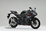 LON PÔ YAMAHA YZF-R25 OVER RACING GP PERFORMANCE RS (230mm)