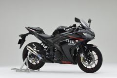  LON PÔ YAMAHA YZF-R25 OVER RACING GP PERFORMANCE RS (230mm) 