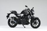 LON PÔ YAMAHA MT-25 OVER RACING TT FORMULA (300mm)