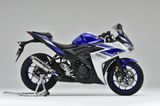 LON PÔ YAMAHA MT-25 OVER RACING TT FORMULA (300mm)