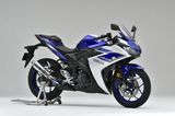 LON PÔ YAMAHA MT-25 OVER RACING TT FORMULA (300mm)