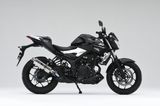 LON PÔ YAMAHA MT-25 OVER RACING TT FORMULA (300mm)